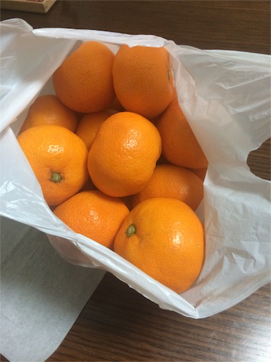 f:id:umeyou:20151214203835j:image f:id:umeyou:20151214203835j:image