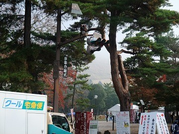 f:id:umikawauso:20091210103150j:image f:id:umikawauso:20091210103150j:image