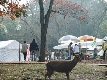 f:id:umikawauso:20091210103539j:image f:id:umikawauso:20091210103539j:image