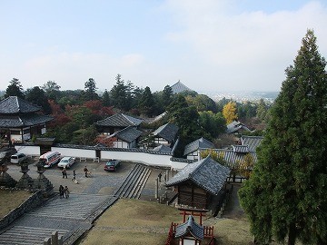 f:id:umikawauso:20091210105610j:image f:id:umikawauso:20091210105610j:image