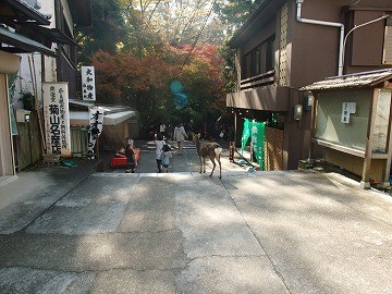 f:id:umikawauso:20091210110658j:image f:id:umikawauso:20091210110658j:image