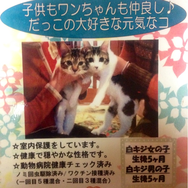 f:id:uminootakara:20140612221203j:plain f:id:uminootakara:20140612221203j:plain