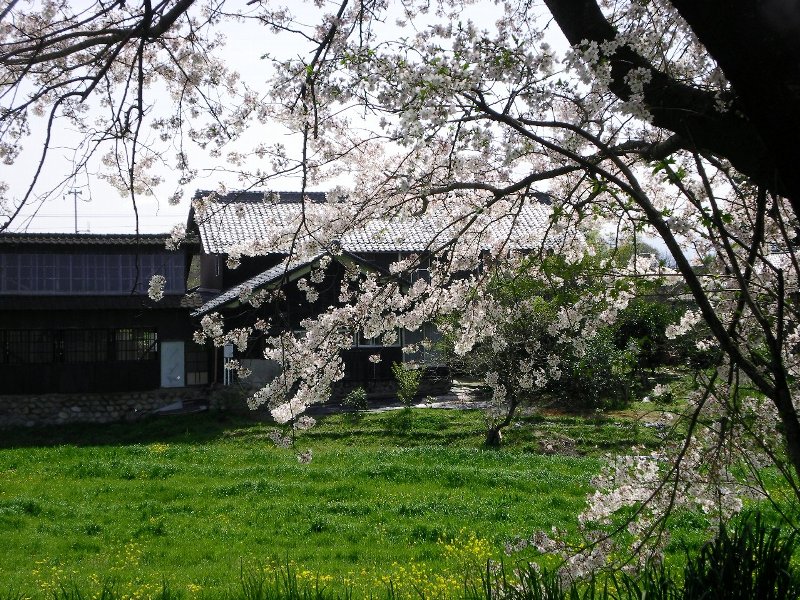 f:id:umiusagikamome:20150401095332j:plain f:id:umiusagikamome:20150401095332j:plain