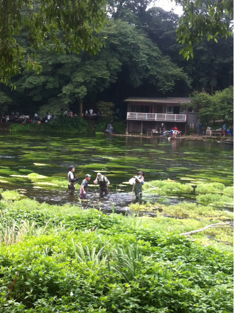 f:id:unagipiechan:20130815130653j:plain f:id:unagipiechan:20130815130653j:plain