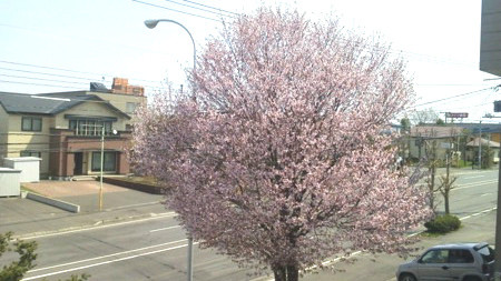 f:id:uncleissue:20120506101326j:plain f:id:uncleissue:20120506101326j:plain