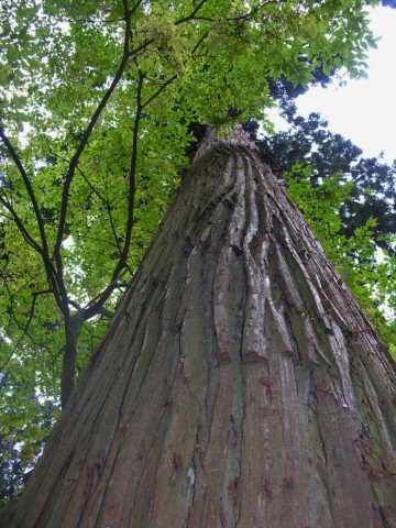 f:id:understandLove:20160217101742j:plain