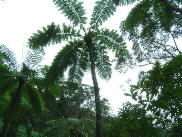 f:id:understandLove:20160217102337j:plain