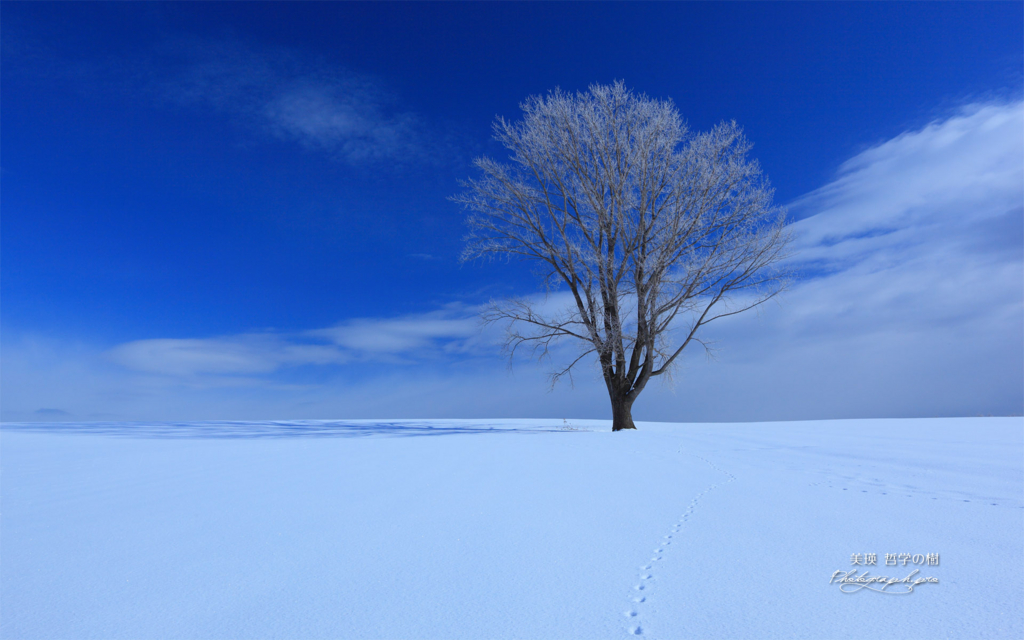 f:id:understandLove:20160217103731j:plain