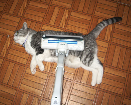 f:id:understandLove:20160217170428j:plain