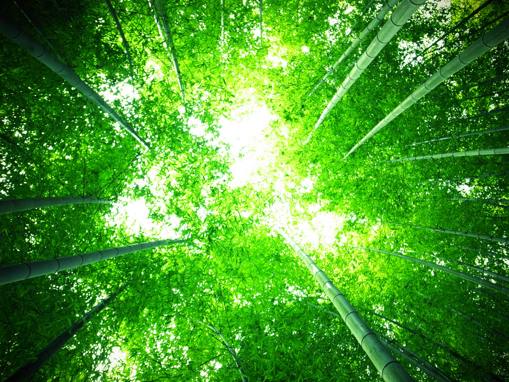 f:id:understandLove:20160305190842j:plain