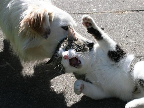 f:id:understandLove:20160408083326j:plain