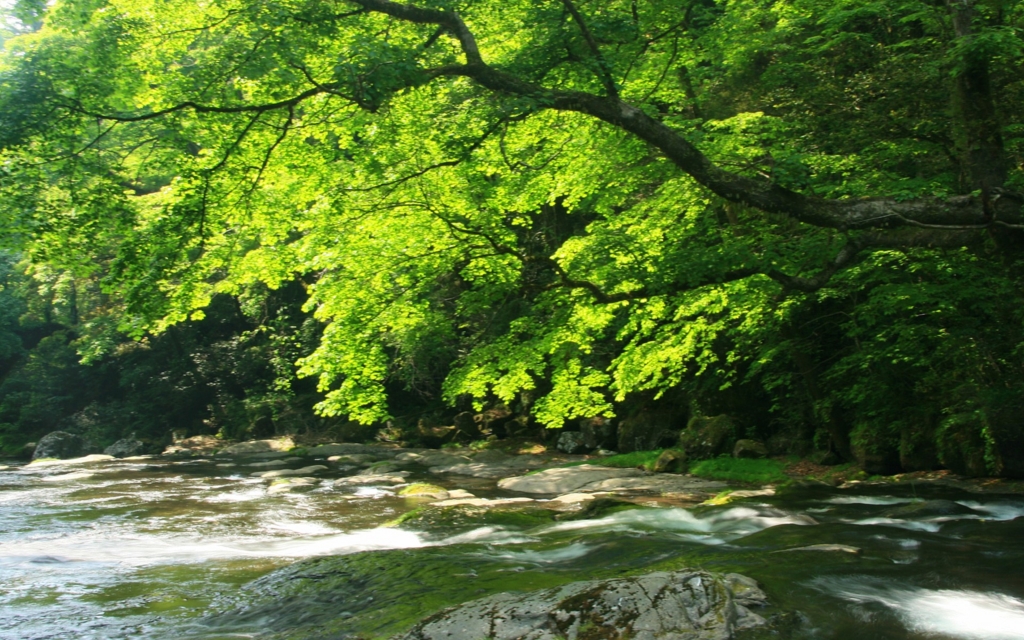 f:id:understandLove:20160408090148j:plain