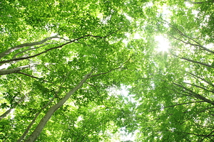 f:id:understandLove:20160501110520j:plain f:id:understandLove:20160501110520j:plain