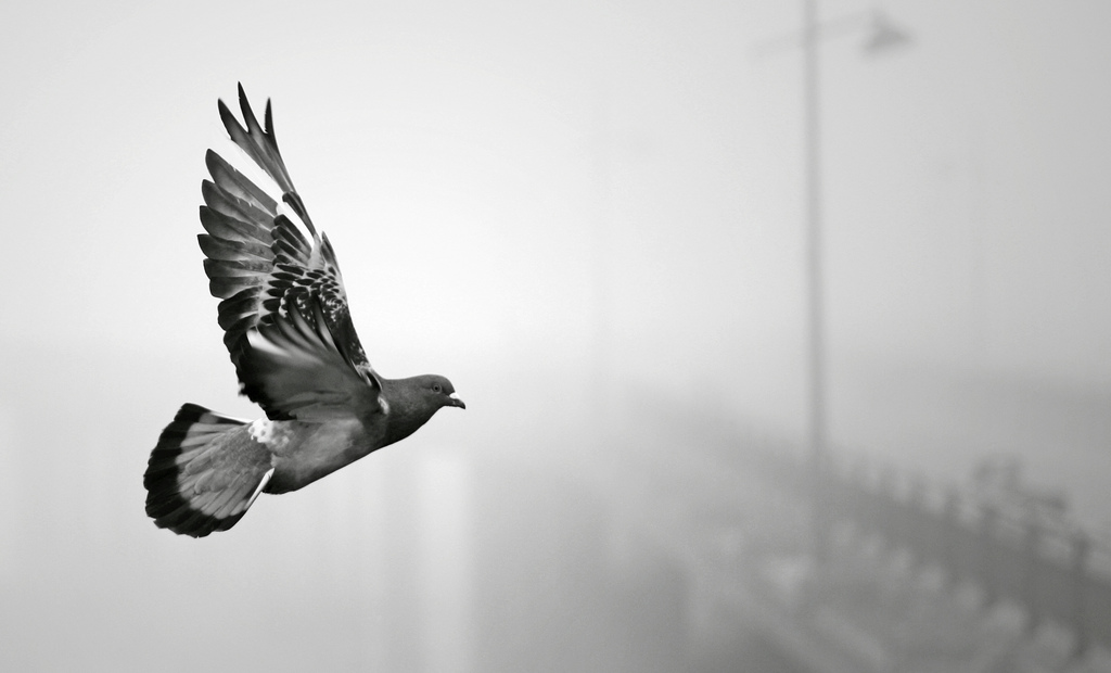 f:id:understandLove:20160506093811j:plain f:id:understandLove:20160506093811j:plain