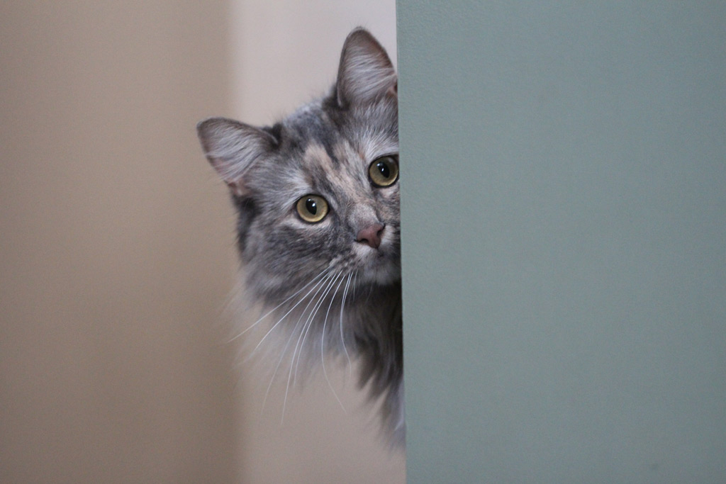 f:id:understandLove:20160515121015j:plain f:id:understandLove:20160515121015j:plain