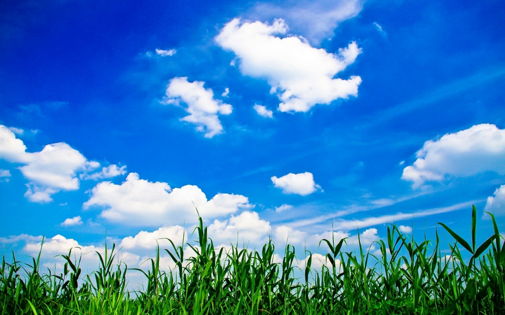 f:id:understandLove:20160515125029j:plain f:id:understandLove:20160515125029j:plain