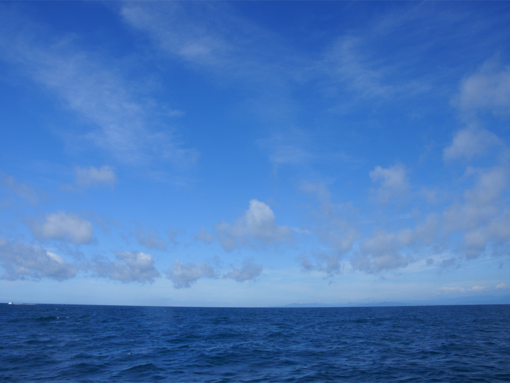 f:id:understandLove:20160516092226j:plain f:id:understandLove:20160516092226j:plain