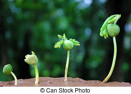 f:id:understandLove:20160516093126j:plain f:id:understandLove:20160516093126j:plain