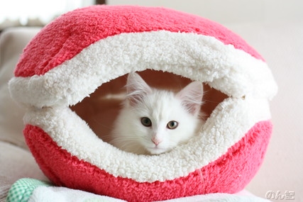 f:id:understandLove:20160518131843j:plain