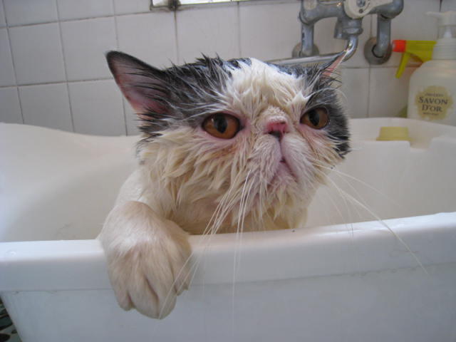 f:id:understandLove:20160518140921j:plain