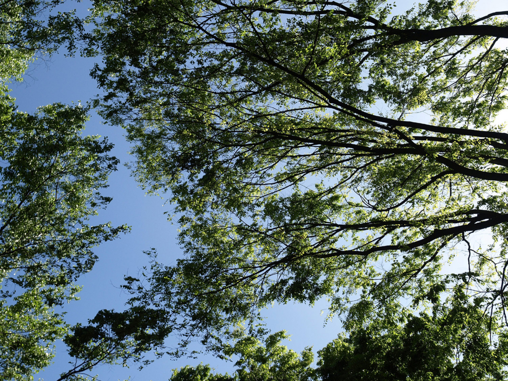 f:id:understandLove:20160520215730j:plain