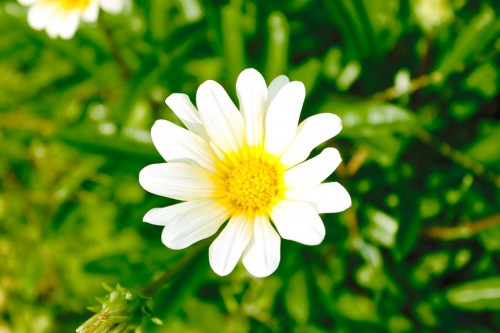 f:id:understandLove:20160523105316j:plain f:id:understandLove:20160523105316j:plain