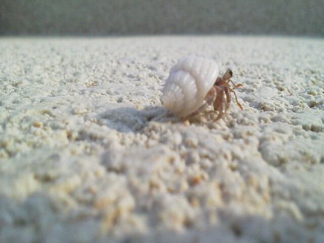 f:id:understandLove:20160531182010j:plain f:id:understandLove:20160531182010j:plain