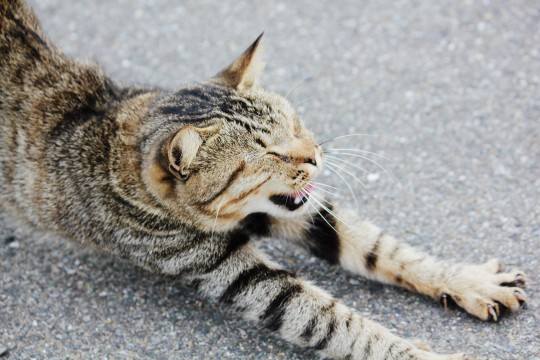 f:id:understandLove:20160606213517j:plain f:id:understandLove:20160606213517j:plain