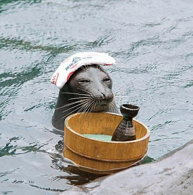 f:id:understandLove:20160606230522p:plain f:id:understandLove:20160606230522p:plain