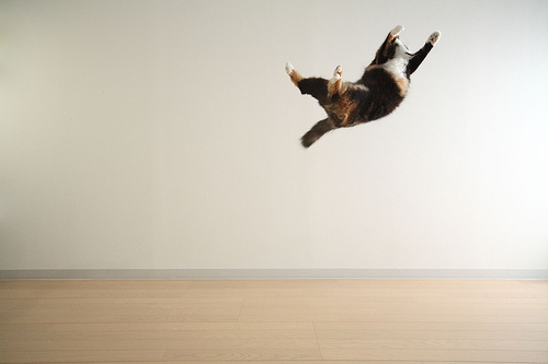 f:id:understandLove:20160607011138j:plain f:id:understandLove:20160607011138j:plain