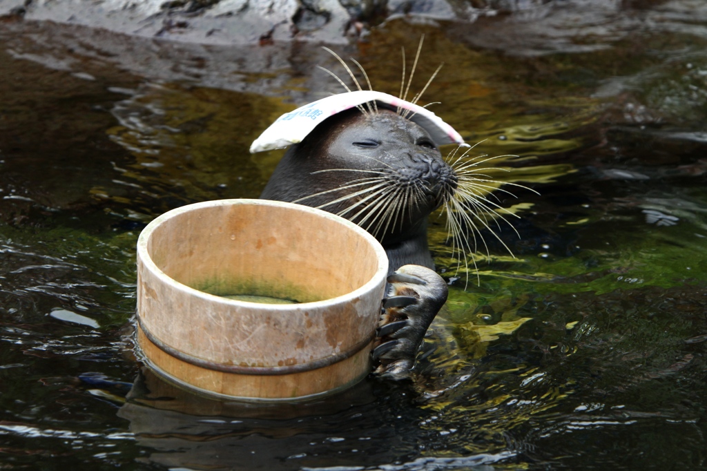 f:id:understandLove:20160720090819j:plain f:id:understandLove:20160720090819j:plain