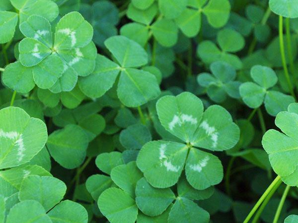 f:id:understandLove:20160720091348j:plain f:id:understandLove:20160720091348j:plain