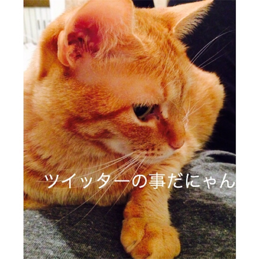 f:id:unikurashi:20160528011628j:image f:id:unikurashi:20160528011628j:image