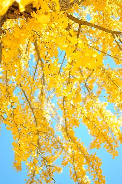 f:id:unitten:20141001094948j:plain f:id:unitten:20141001094948j:plain