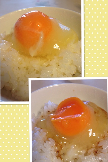 f:id:unitten:20141019140800j:plain f:id:unitten:20141019140800j:plain