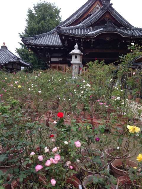 f:id:unitten:20141031203458j:plain f:id:unitten:20141031203458j:plain