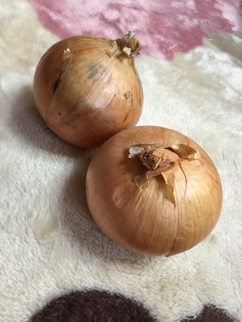 f:id:unitten:20141127150007j:plain f:id:unitten:20141127150007j:plain