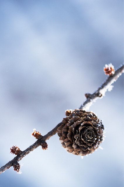f:id:unitten:20141205083457j:plain f:id:unitten:20141205083457j:plain