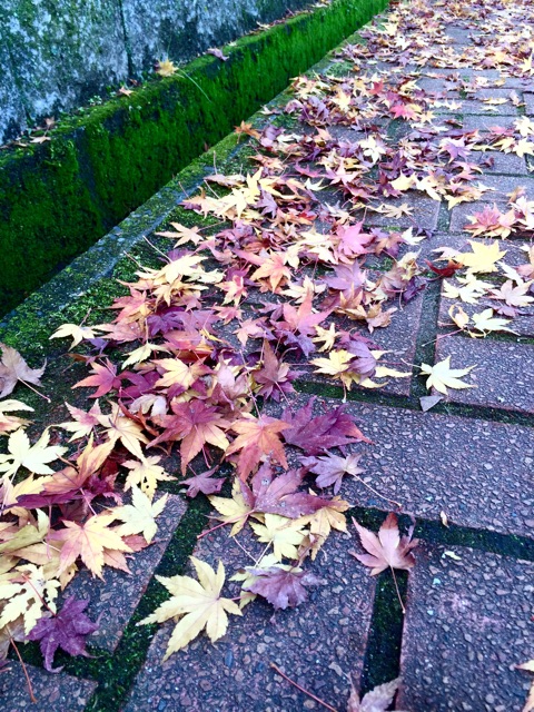 f:id:unitten:20141212152907j:plain f:id:unitten:20141212152907j:plain