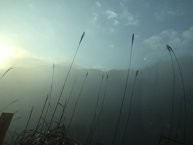 f:id:unitten:20141221175722j:plain f:id:unitten:20141221175722j:plain