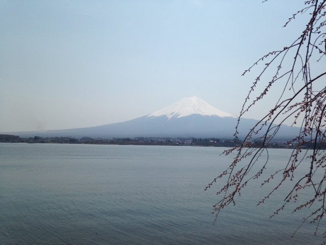 f:id:unitten:20141231074150j:plain f:id:unitten:20141231074150j:plain