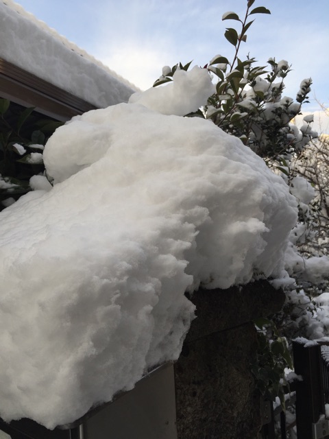 f:id:unitten:20150102114601j:plain f:id:unitten:20150102114601j:plain