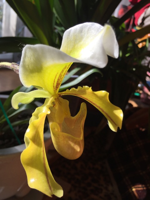 f:id:unitten:20150201171156j:plain f:id:unitten:20150201171156j:plain