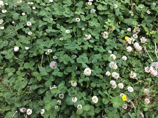 f:id:unitten:20150217142049j:plain f:id:unitten:20150217142049j:plain