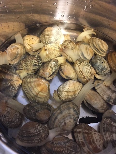 f:id:unitten:20150321213014j:plain f:id:unitten:20150321213014j:plain