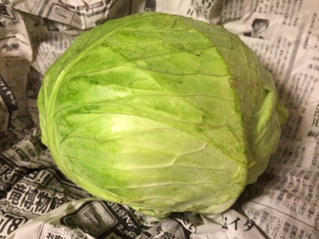 f:id:unitten:20150328194439j:plain f:id:unitten:20150328194439j:plain