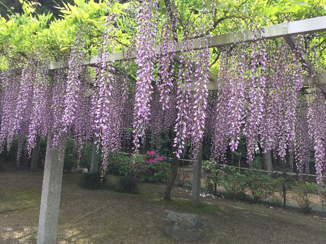 f:id:unitten:20150506150240j:image f:id:unitten:20150506150240j:image