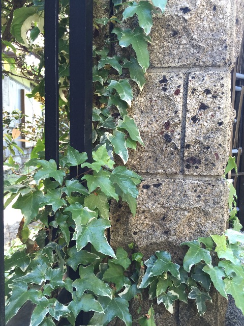 f:id:unitten:20150510162030j:image f:id:unitten:20150510162030j:image