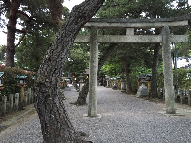 f:id:unitten:20150511183922j:image f:id:unitten:20150511183922j:image