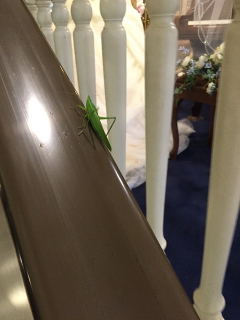 f:id:unitten:20150608214118j:image f:id:unitten:20150608214118j:image